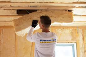 Best Eco-Friendly Insulation Solutions  in USA